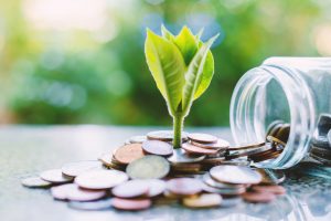 plant growing from coins outside the glass jar on blurred green for picture id921527422 1574772684357786275383 2